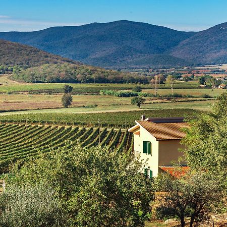 Poggiolivi Agriturismo Bio In Maremma 알베레세 객실 사진