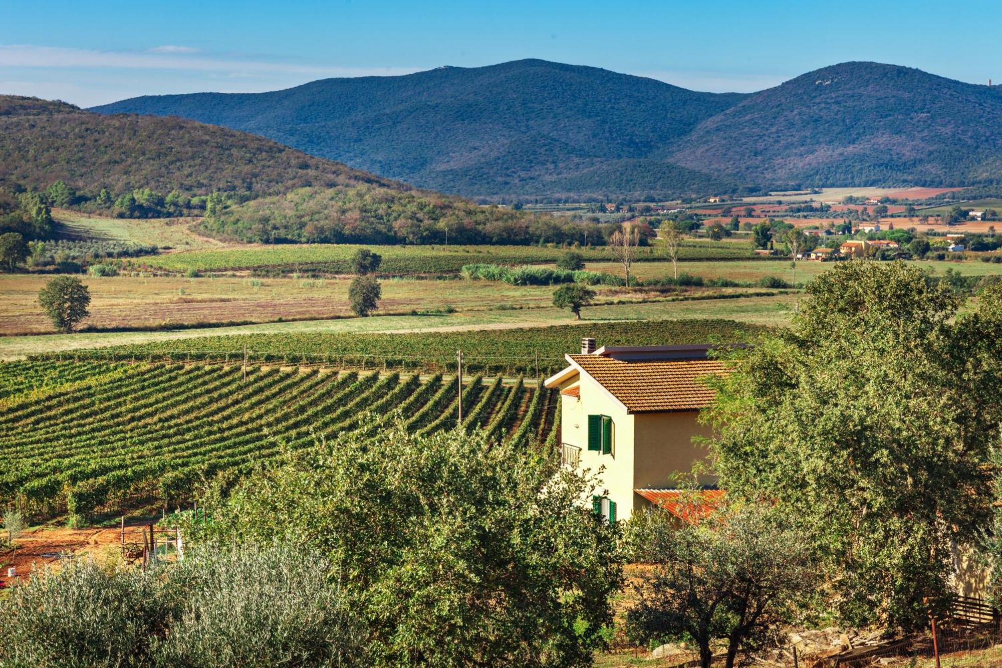 Poggiolivi Agriturismo Bio In Maremma 알베레세 객실 사진